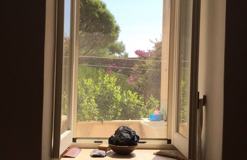 Pantelleria Casa | The dammuso of the pines, ancient Pantelleria dammuso