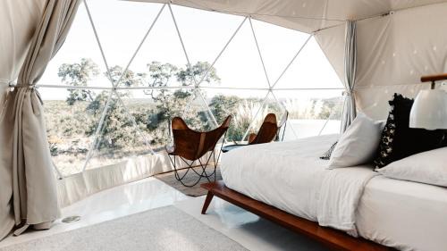 Fischer Casa | The Disco Domes