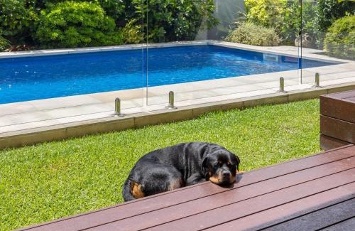 Pottsville Casa | The Doggy Beach House at Pottsville