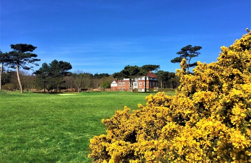 Leiston Cabaña | The Dower Retreat - sleeps 2 guests in 1 bedroom