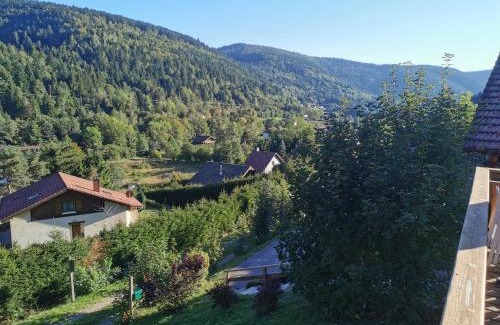 La Bresse Chalet De Esquí | The dream catcher -Spa- panoramic sauna- 2 MINUTES FROM THE SLOPES
