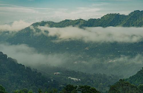 Dharampur Apartamento | The Exotic Stays I Property of the year I Serviced Villa I Couple Friendly I Pvt Balcony I Open Air Terrace I Bonfire I Kasauli