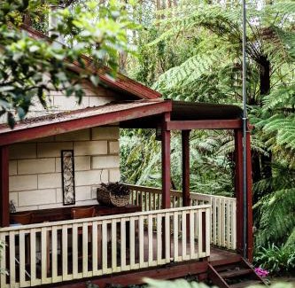 Mount Dandenong Cama Y Desayuno | The Fernglen Forest Retreat