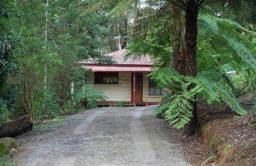 Mount Dandenong Cama Y Desayuno | The Fernglen Forest Retreat