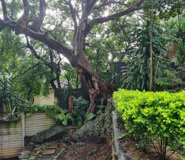 Nelspruit Apartamento | The Fig Tree