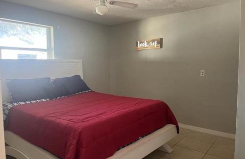 Wesley Chapel Casa | The flower house