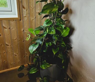 Eyvindarholar Casa | The Forgotten Farmhouse
