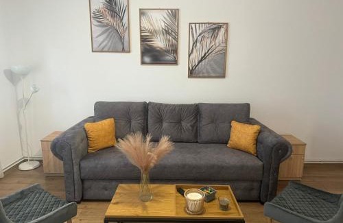 Sfantu Gheorghe Apartamento | The Future Residence