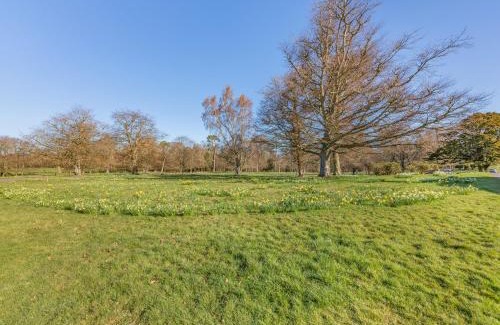 Paxton Apartamento | The Garden Apartment - Uk48320