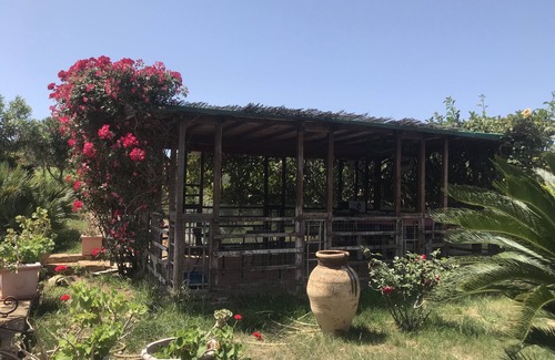 Agrigento Chalet De Esquí | "Il Giardino di Athena" es una casa de vacaciones en el Valle de los Templos
