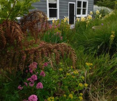 Branxholm Apartamento | The Gardener's Cottage on Warrentinna