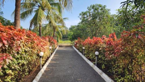 Talala Complejo | The Gir View Resort