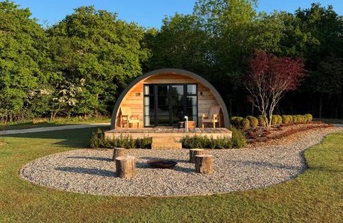 Wellesbourne Otro | The Goose In The Woods