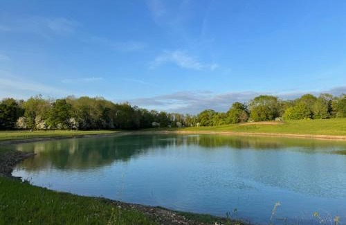 Wellesbourne Otro | The Goose In The Woods