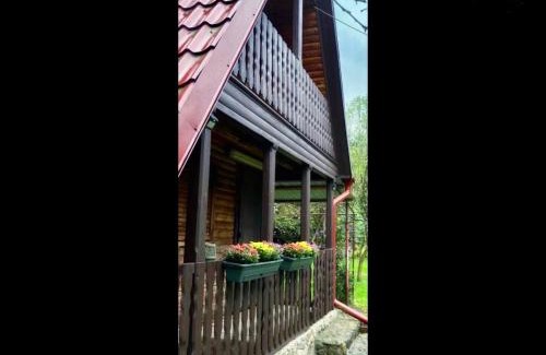 Recea Casa | The Great Escape