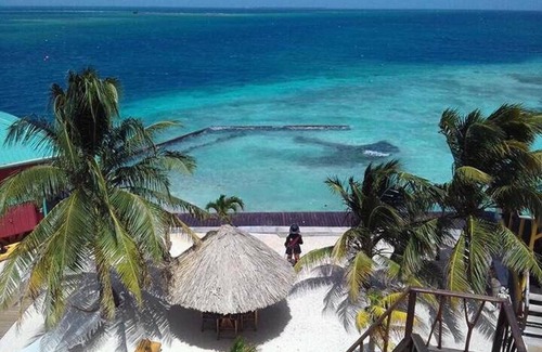 Placencia Cabina | The Green Parrot Fish at King Lewey's Island Resort, Placencia Cayes, Belize