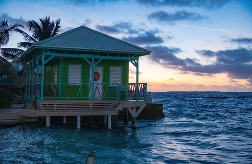 Placencia Cabina | The Green Parrot Fish at King Lewey's Island Resort, Placencia Cayes, Belize