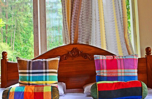 Hatton Casa | The Greendale Bungalow