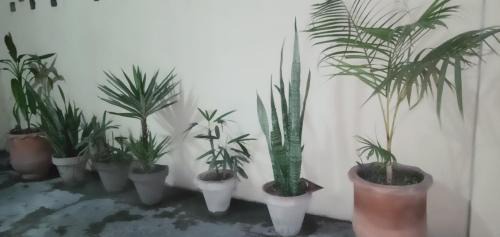 Lahore Apartamento | The Guest House Lahore - Rooms & Appartments