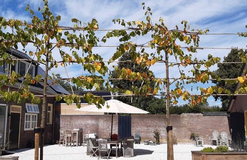 Udenhout Cama Y Desayuno | The Guest Room - B&B at 300 meters from the nature reserve Loonse and Drunense Dunes