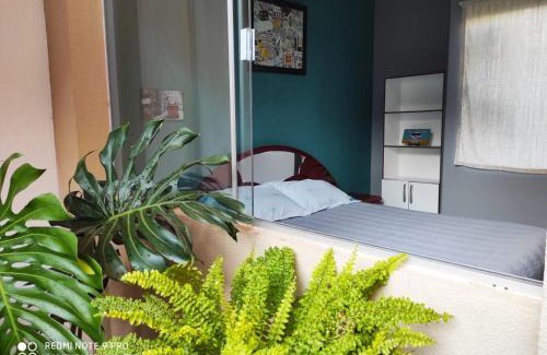 Santa Cruz Casa | The Hidden Gem