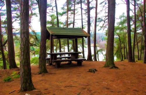 Zeliv Cabina | The Cabin Hideaway Ash Entrar en Trnavka lago, bosques y montañas, pet friendly