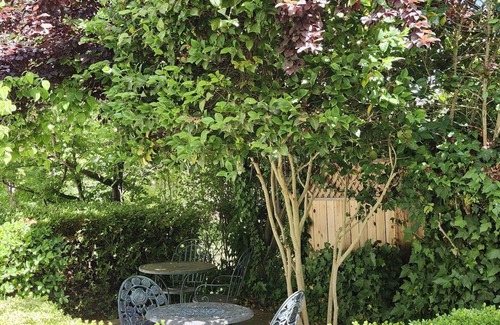 Sutter Creek Apartamento | The Hideaway Suite | On Main St., Dog Friendly!