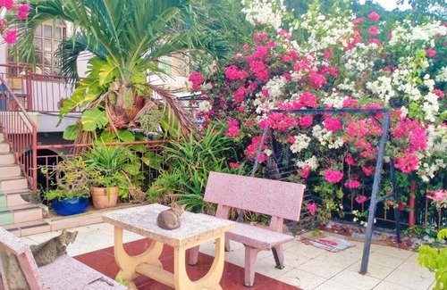 Vung Tau Apartamento | The Hill Vũng Tàu Homestay