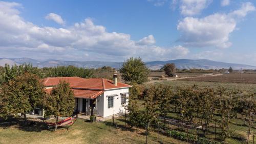 Trikala Casa | The Hobbit Hole