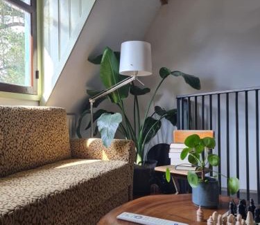 Stratum Casa | the home of the gnome