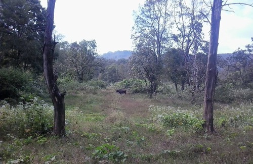 Kaimane Casa | La casa en el castillo de la naturaleza.