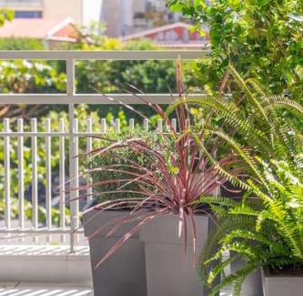 Ilisia Apartamento | The HostMaster Lavish Athenian Treasure