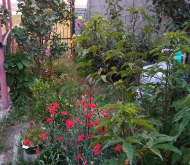 Tbilisi Casa | The house has a nice view