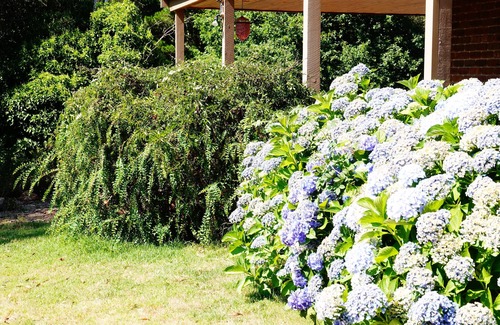 Mount Macedon Casa | The House Sleeps 2 - 7 3 habitaciones, 2 baños