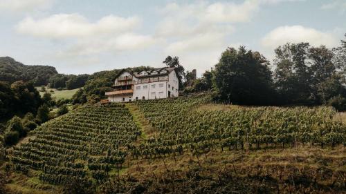 Pfaefers Dorf Hotel | THE HUS am Weinberg