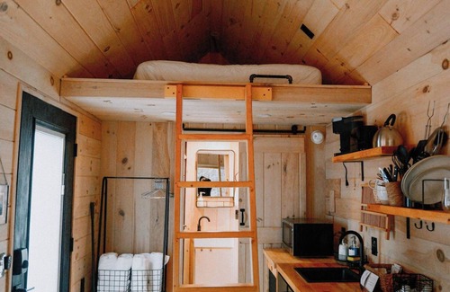 Knoxville Cabina | The Iris: Rural Secluded Nordic Tiny Home