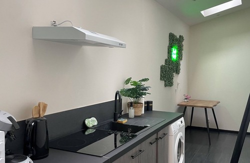 Troyes Apartamento | The jungle room