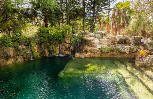 Homestead Casa | The Lake House Mia Natural Pool Wellness Center Pool Table Ping Pong Family