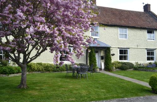 Ashcott Cama Y Desayuno | The Lawns Tea Room and B&B