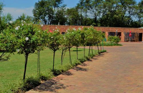 Benoni Cama Y Desayuno | The Lazy Grape Guest Lodge & Spa