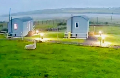 Ballyshannon Apartamento | The Lazy Llama Shepherd Hut Campview Farm Stay