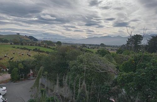 Kaikoura Cabina | The Lazy Shag Lodge