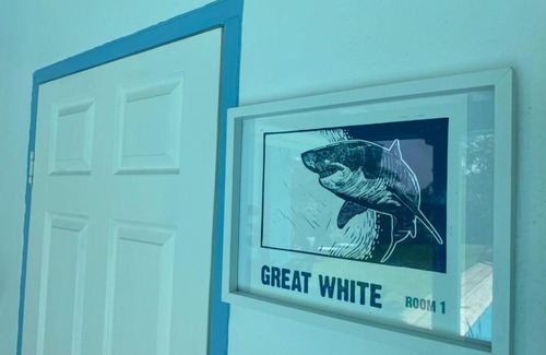 Scottburgh Cama Y Desayuno | ThE LaZy ShArK