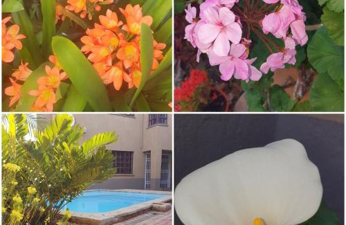Polokwane Cama Y Desayuno | The Leopard Tree