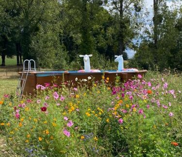 Lavernat Casa | The Llama Farm France