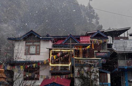 Bashisht Casa | The Locals Manali