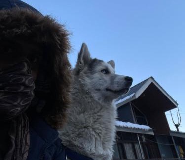 Bashisht Casa | The Locals Manali