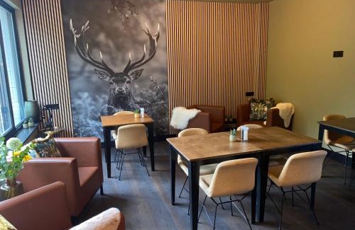Municipality of Best Cama Y Desayuno | The Lodge