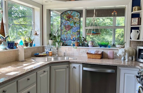 Eureka Springs Casa | The Lookout House at The Bluebird - 4 bedroom, pet friendly, hot tub, views!