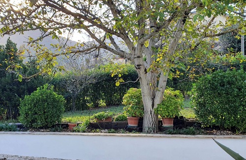 Terni Casa | The Lover House - A Charming Retreat Between Nature and Relaxation